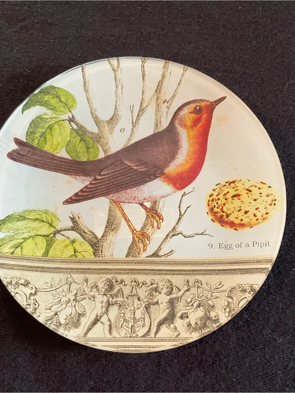 Vintage French Country Decoupage Glass Bird Plates, Each 6” in Diameter Set of 3